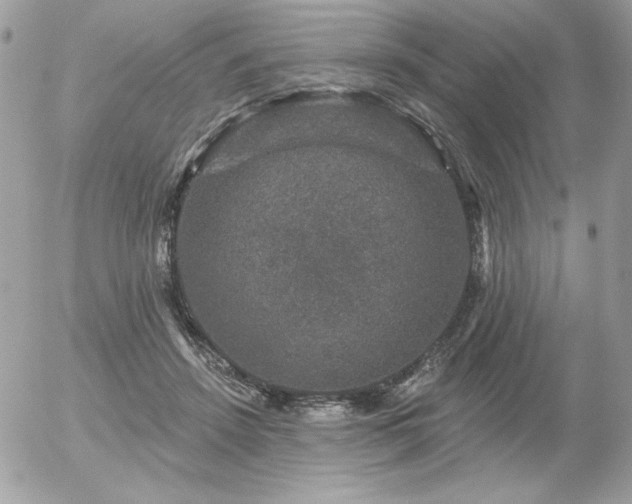 X0000056330456200508261225