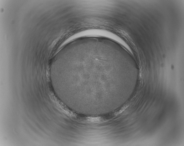 X0000056330457200508261225