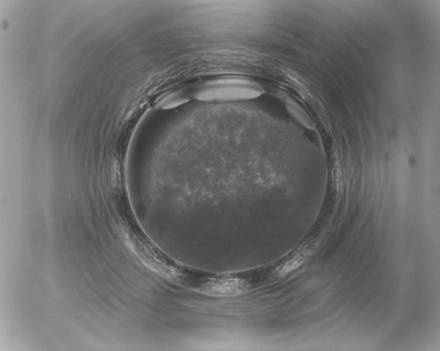 X0000056330459200508261225