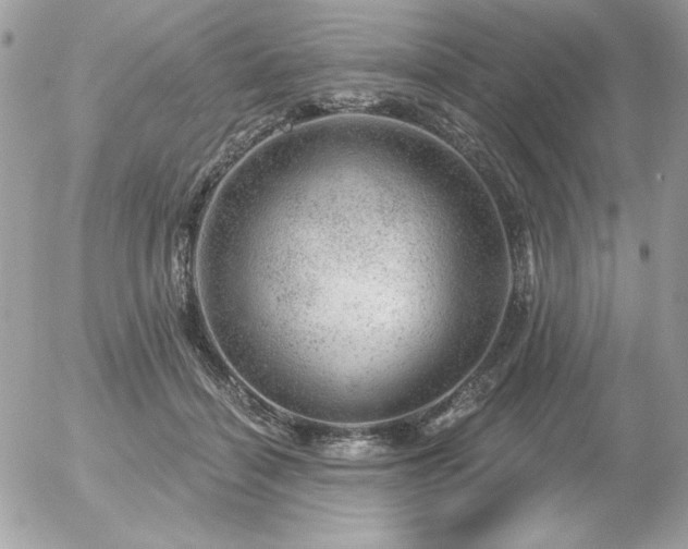 X0000056330460200508261225