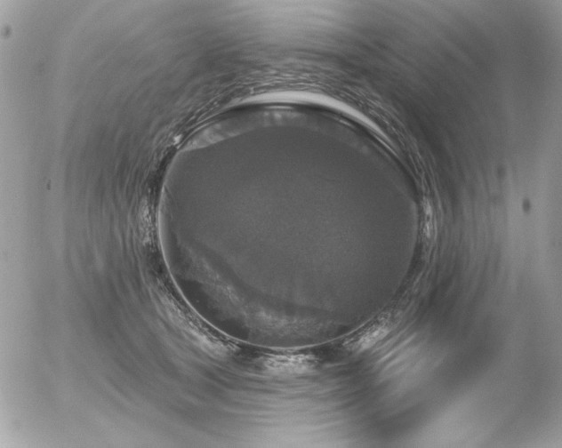 X0000056330465200508261225