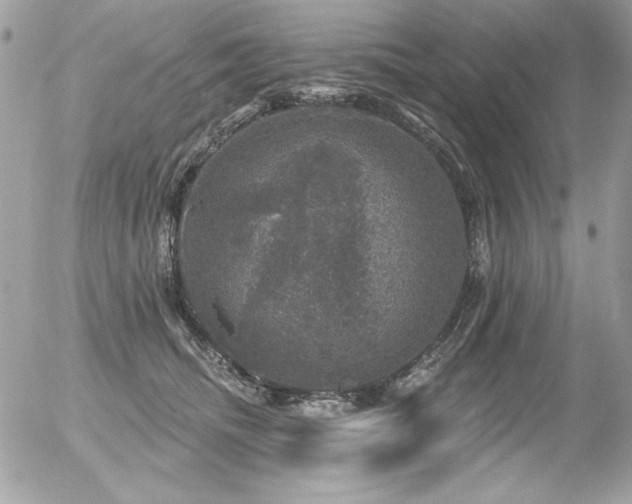 X0000056330468200508261225