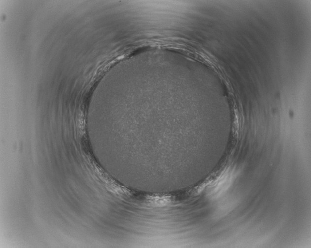 X0000056330469200508261225