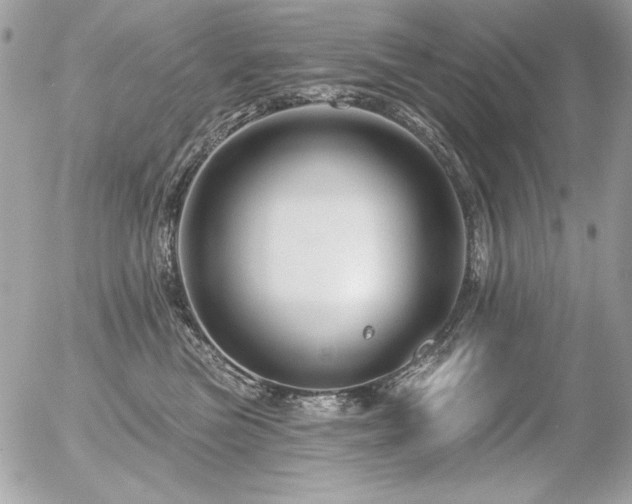 X0000056330473200508261225