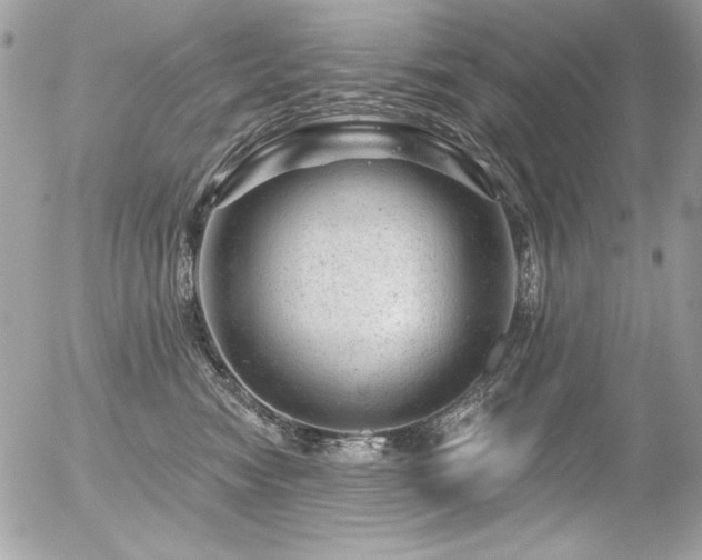 X0000056330474200508261225