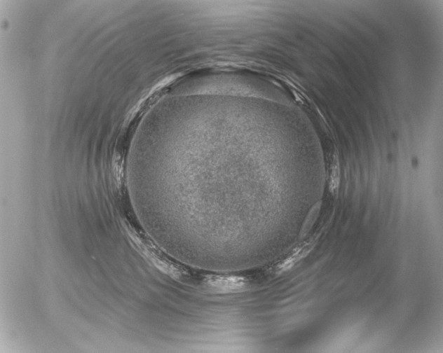 X0000056330476200508261225