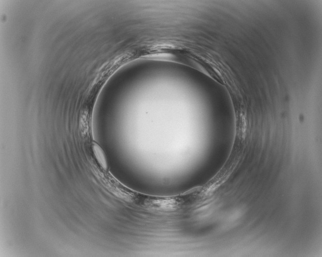 X0000056330478200508261225