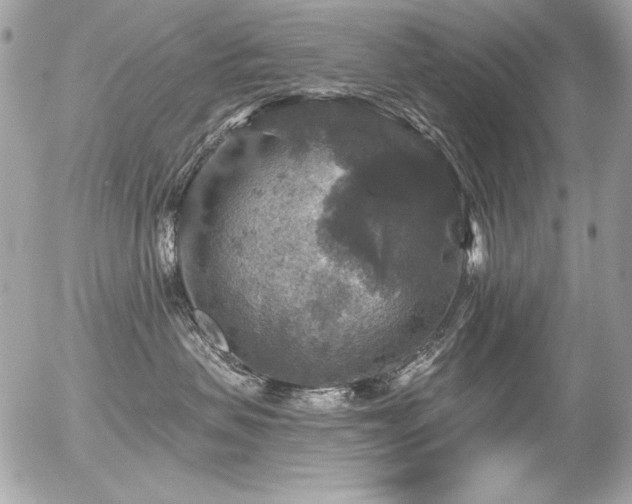 X0000056330479200508261225