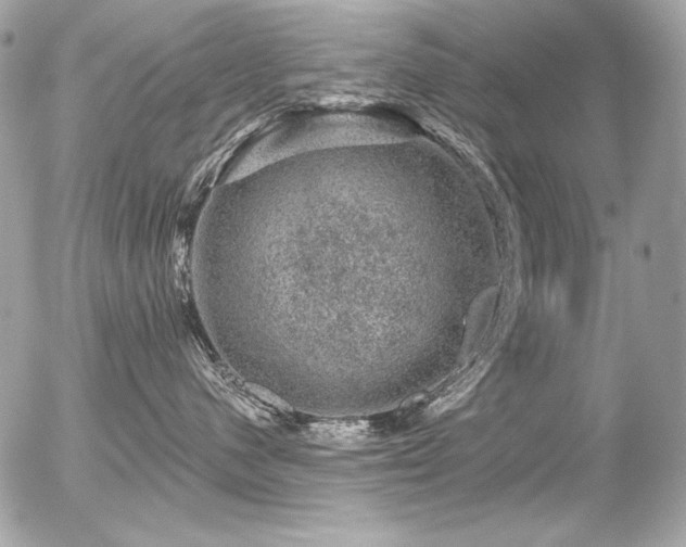 X0000056330480200508261225