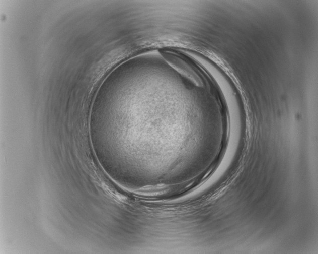 X0000056330481200508261224