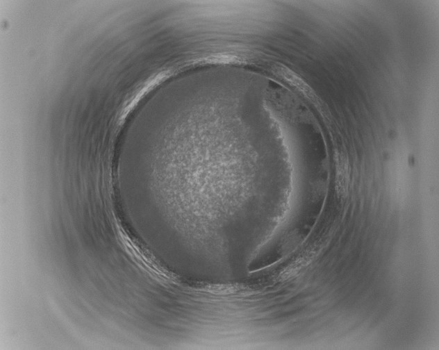 X0000056330482200508261224