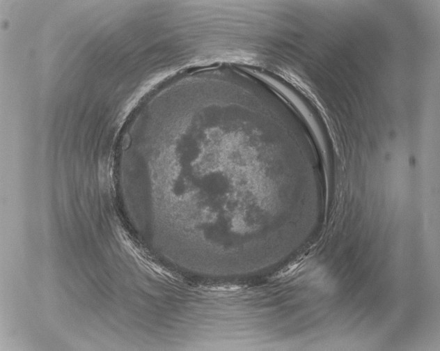 X0000056330483200508261224