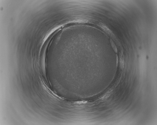 X0000056330484200508261224