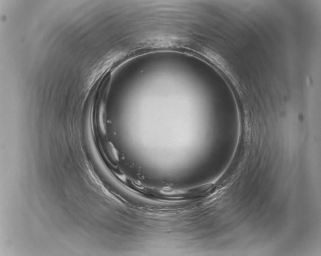 X0000056330485200508261224