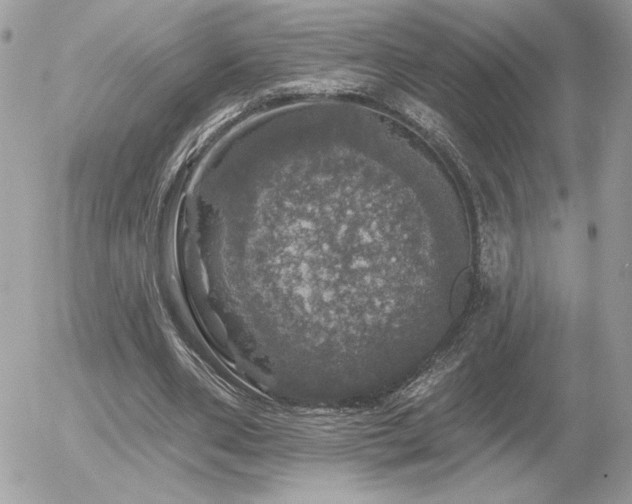 X0000056330486200508261224