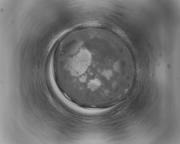 X0000056330487200508261224