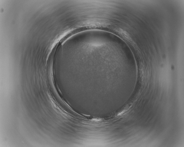 X0000056330488200508261224