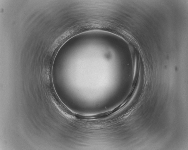 X0000056330489200508261224