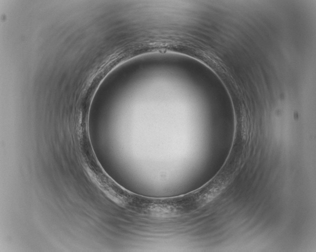 X0000056330490200508261224