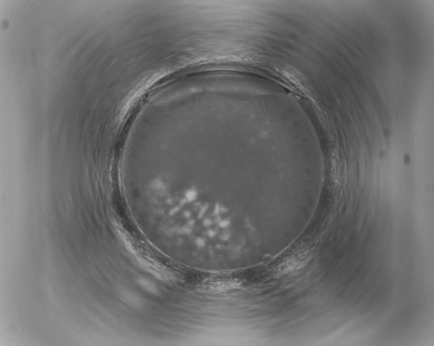 X0000056330491200508261224