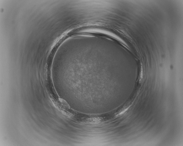 X0000056330492200508261224