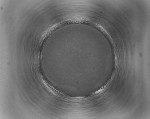 X0000056330493200508261224