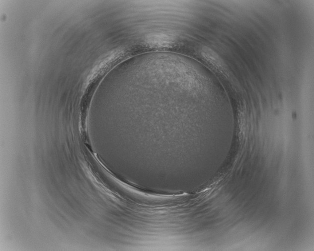 X0000056330494200508261224