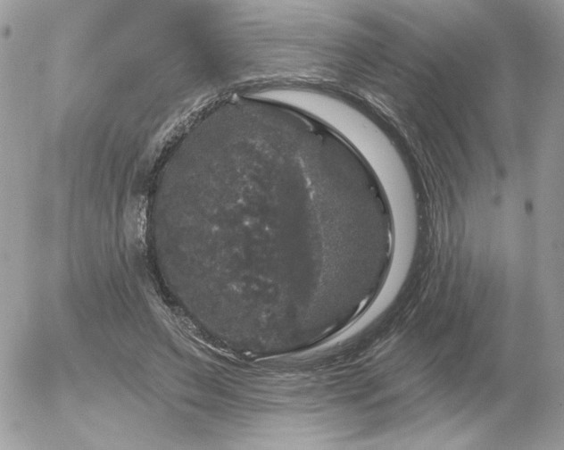 X0000056330495200508261224