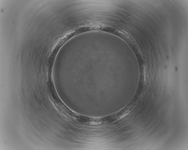 X0000056330496200508261224