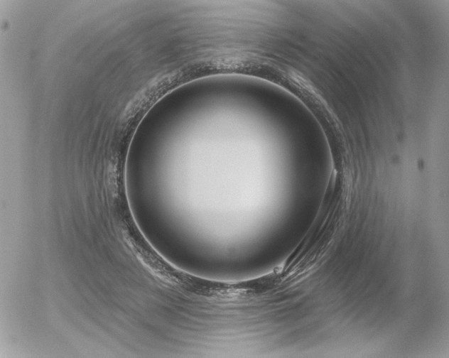 X0000056330497200508261224