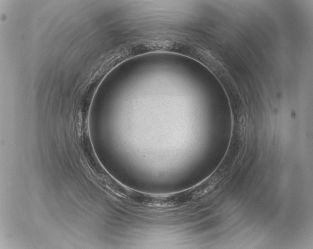 X0000056330498200508261224