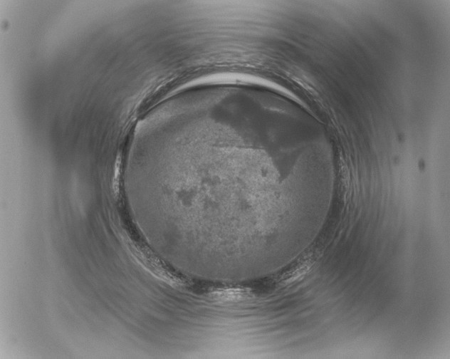 X0000056330499200508261224