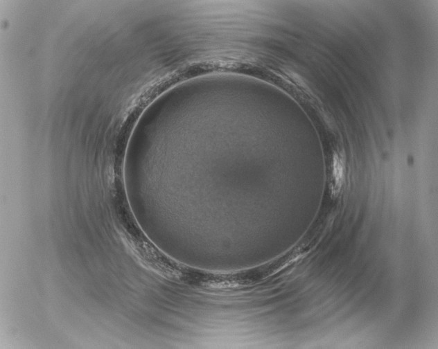 X0000056330500200508261224