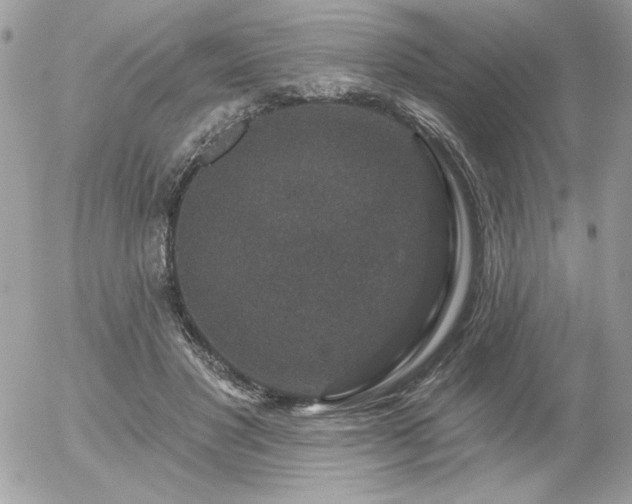 X0000056330501200508261224