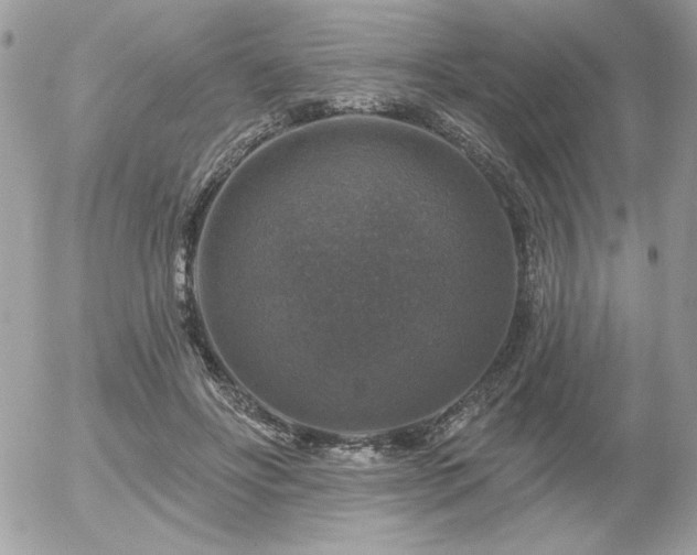 X0000056330502200508261224