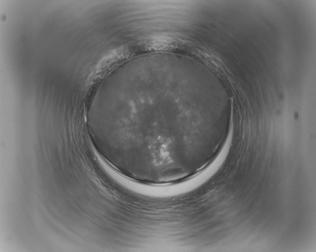 X0000056330503200508261224