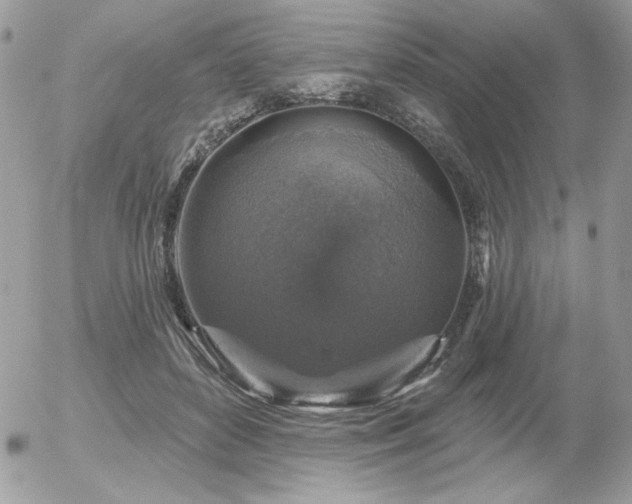 X0000056330504200508261224