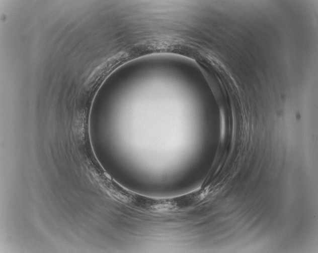 X0000056330505200508261224