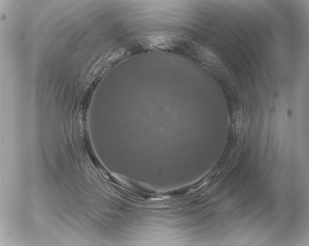 X0000056330506200508261224