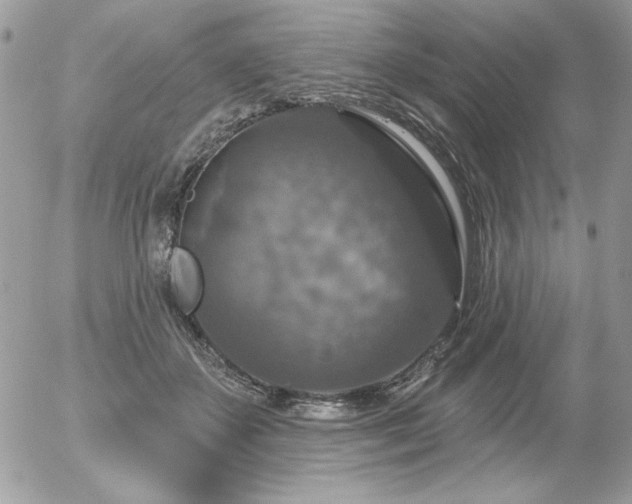 X0000056330507200508261224