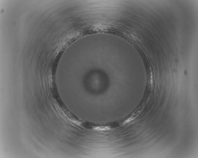 X0000056330508200508261224