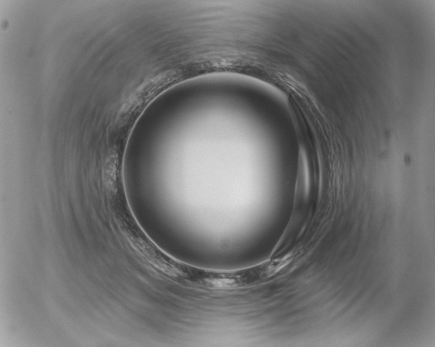 X0000056330509200508261224