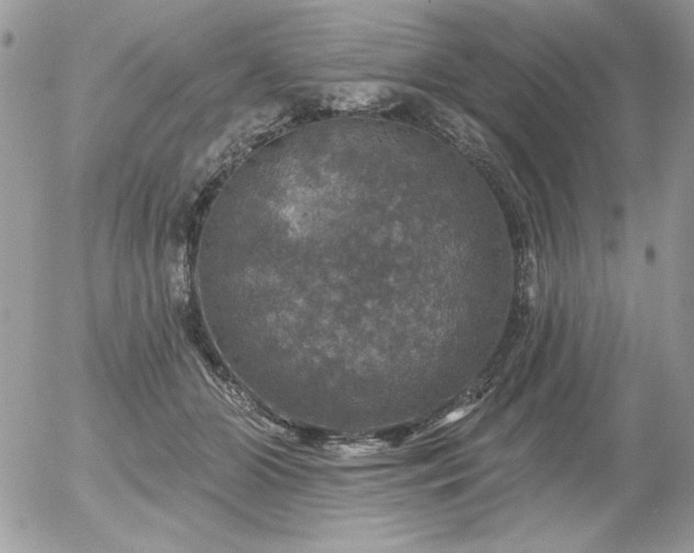 X0000056330510200508261224