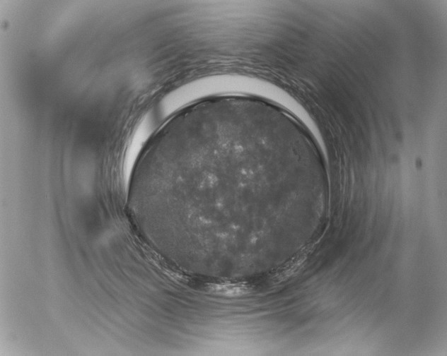 X0000056330511200508261224