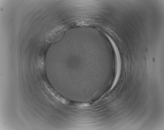 X0000056330513200508261224