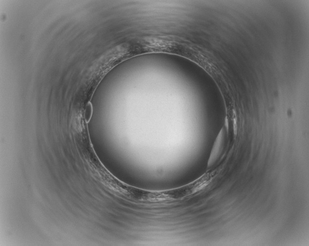 X0000056330514200508261224