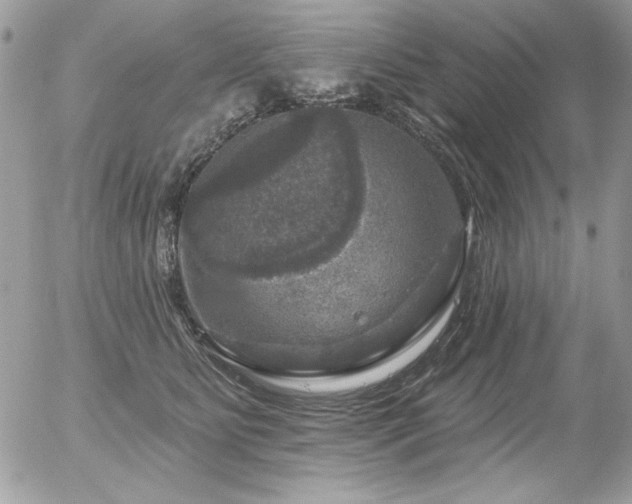 X0000056330515200508261224