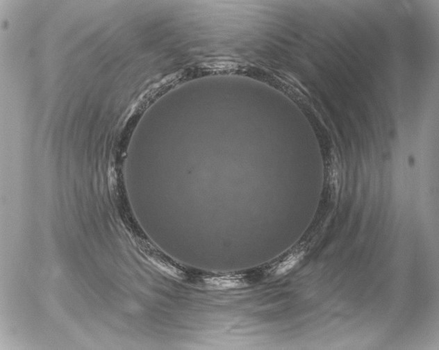 X0000056330516200508261224