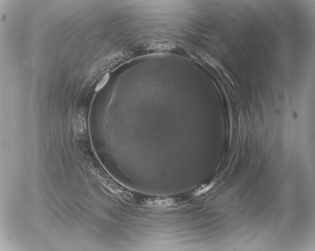 X0000056330517200508261224