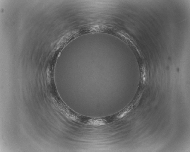 X0000056330520200508261224